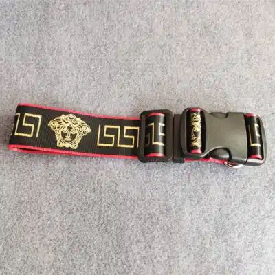 versace dog collar and leash.